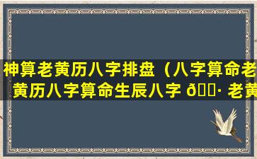 神算老黄历八字排盘（八字算命老黄历八字算命生辰八字 🌷 老黄历 🐠 网算命最准...）